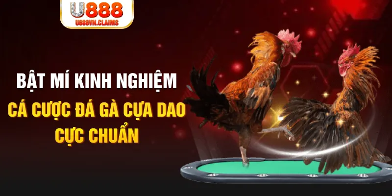 ripvip xổ số miền nam xổ số miền nam
