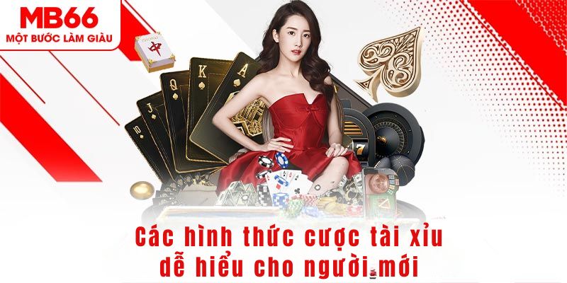 ripvip DG Trực Tuyến