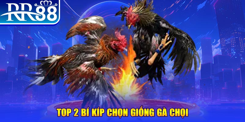 ripvip máy thu cước bắn cá