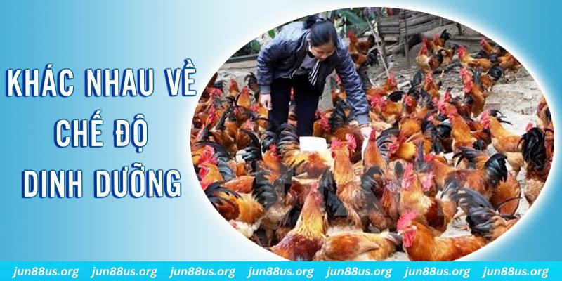 ripvip xổ số miền nam thứ năm hàng tuần