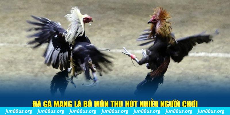 ripvip đăng nhập lô đề hàng đầu