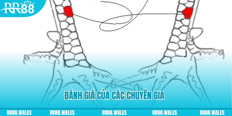 ripvip V8 Game Bài 3d