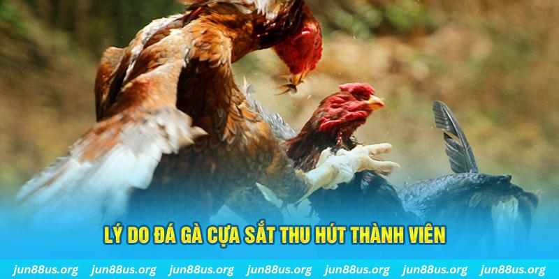 ripvip chiếm slot là gì