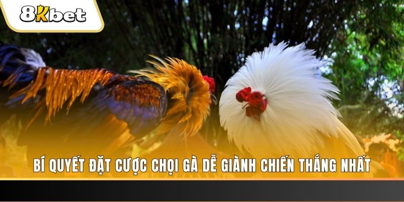 ripvip xổ số thứ hai hàng tuần