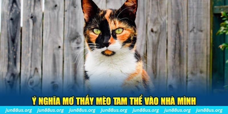 ripvip RTG Bắn cá