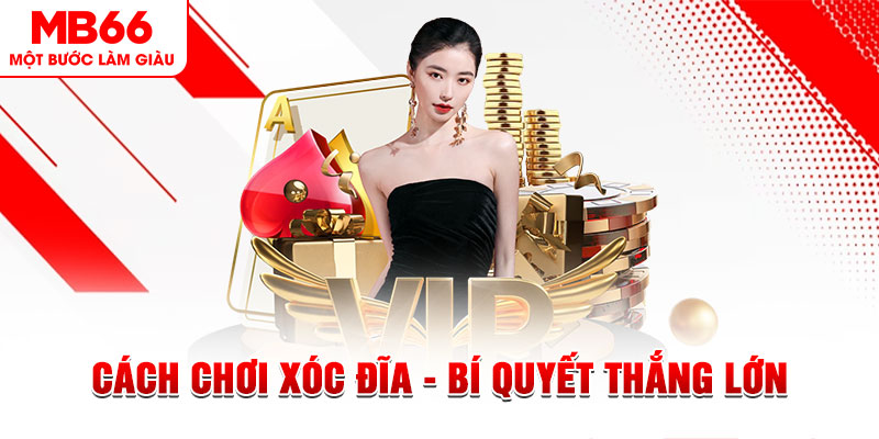 ripvip trực tiếp đá gà c1 hôm nay