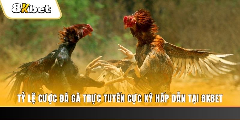 ripvip baccarat online bịp như thế nào