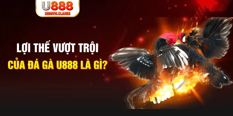 ripvip 168G Điện Tử